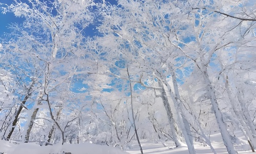 Yangcao-Mountain-Harbin